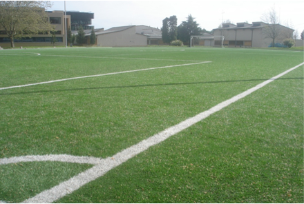Campo De Futebol Escola Superior De Educação - Ipvc (POR)
