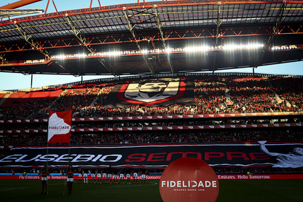 Benfica v Vitria SC Primeira Liga J16 2014/15