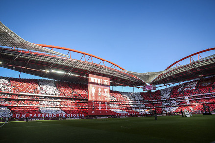Benfica v SC Braga Liga NOS J25 2014/15