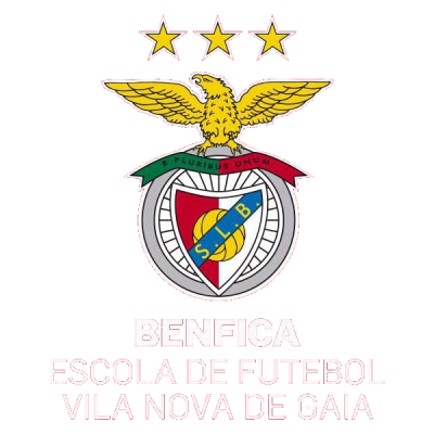 Fut. Benfica V. N. Gaia B