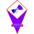 Fiorentina Porto Novo