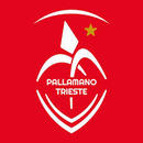 Pallamano Trieste