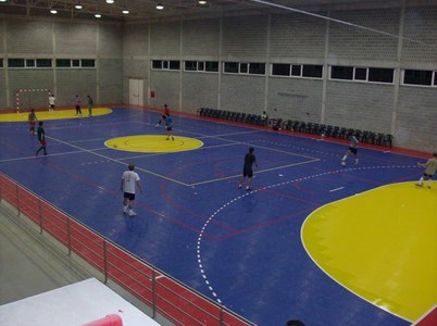 Pavilhão Gimnodesportivo De Telhadela (POR)