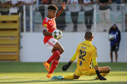 Liga BWIN: Portimonense x Benfica