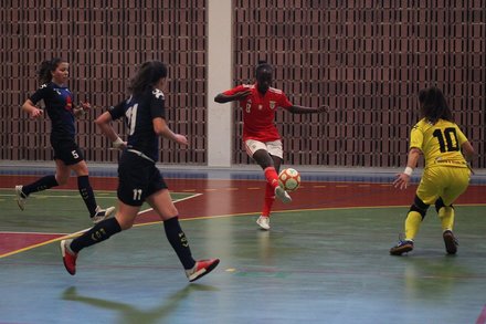 FC Vermoim x Benfica - Campeonato Nacional Futsal Feminino 2018/19 - Fase Final Jornada 12