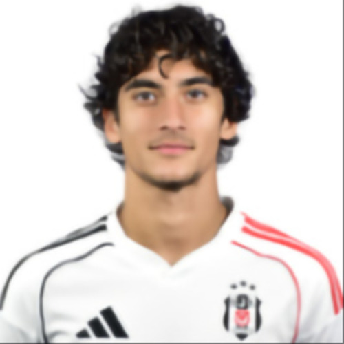 Asim Efe Isik - Turquia - Ficha e Estatísticas do Jogador