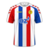 vieirense