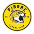 Pibrac Futsal Club