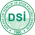 Ankara DSI Era