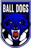Ball Dogs FC