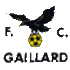 FC Gaillard