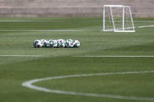 Torreense: Clube cria equipa de sub-23 para competir na Liga Revelação -  Futebol 365