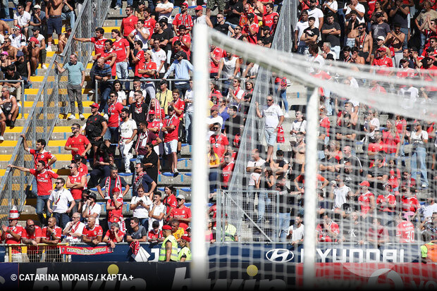 Loucos por ti Benfica : Hoje joga o Benfica